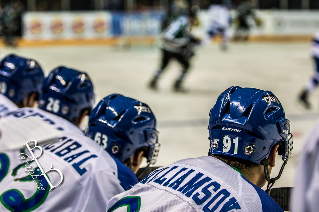 Columbus Cottonmouths Hockey
