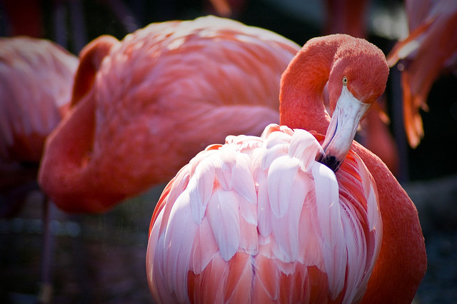 Riverbanks Zoo in Columbia, SC