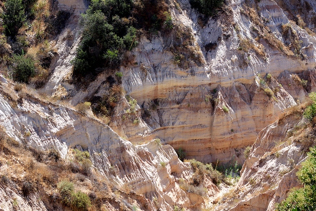 Irvine Ranch Natural Landscape