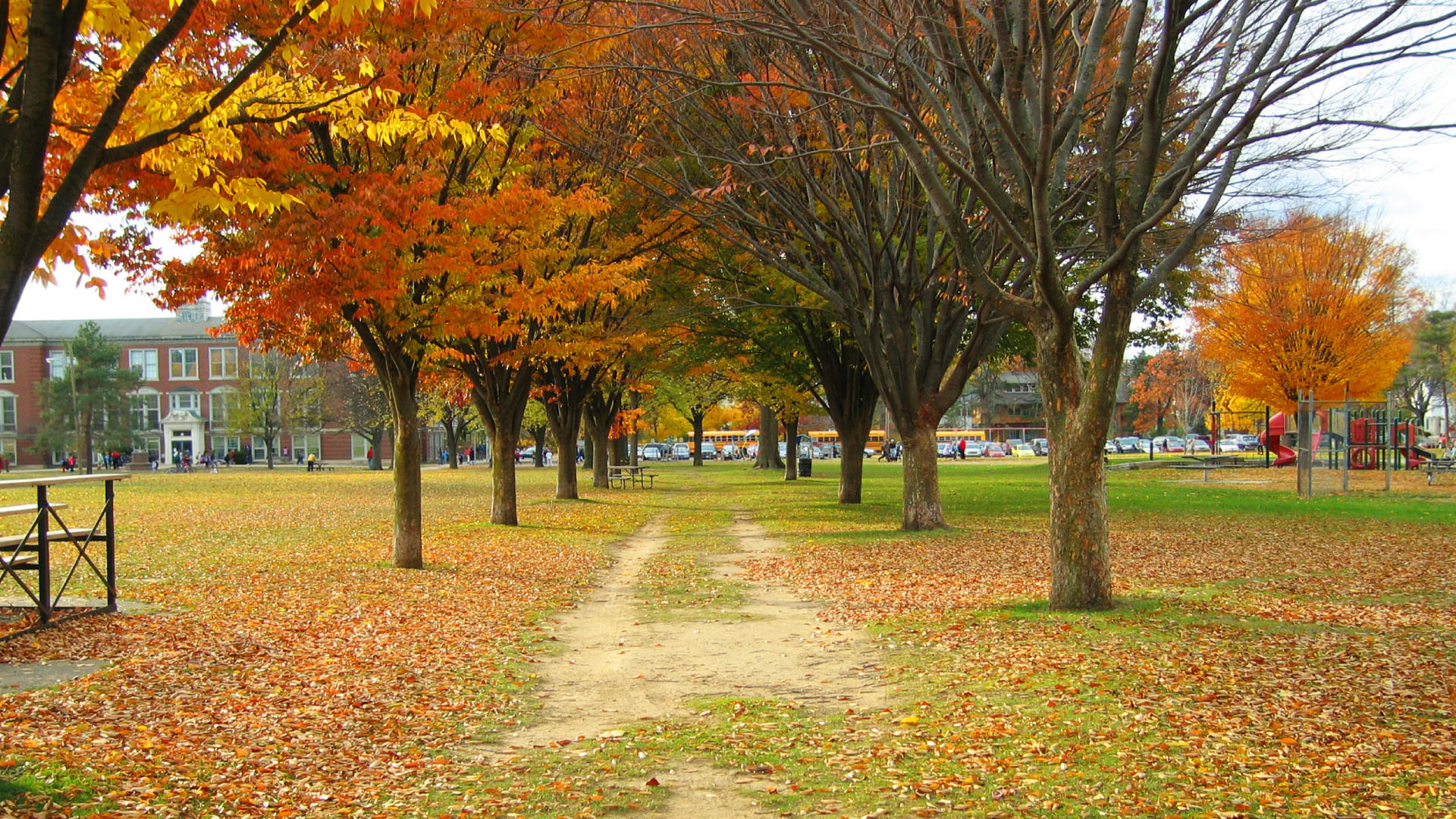 11 Things to Know About Living in Ann Arbor
