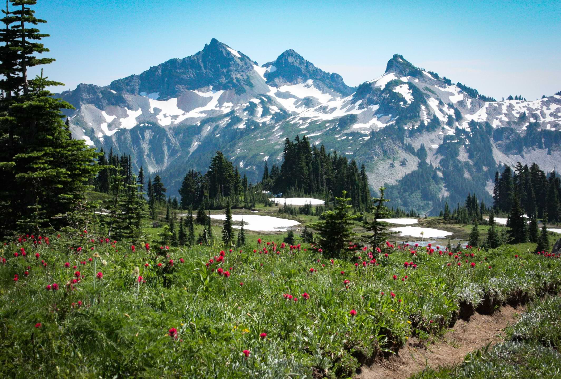 Mount rainier scenery