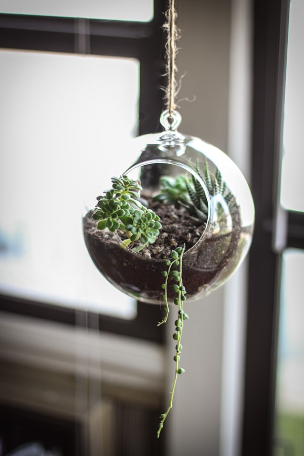 hanging terrarium