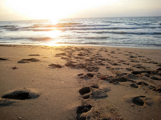 Fort Lauderdale Weather