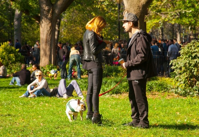 Dog Park in East Village NYC
