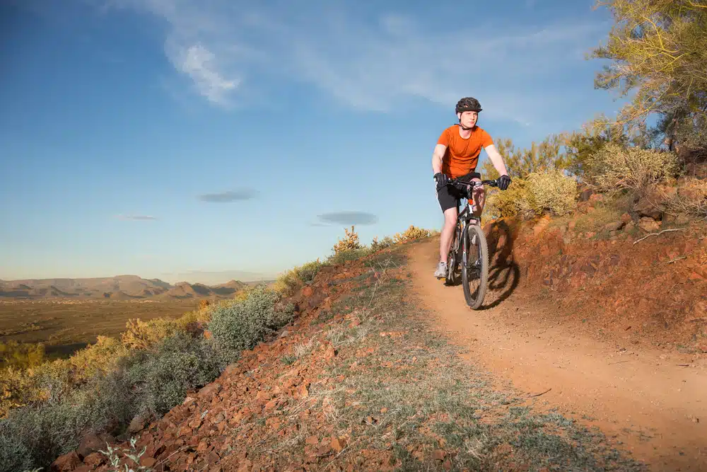 On the Move: Your Guide to Living in Phoenix