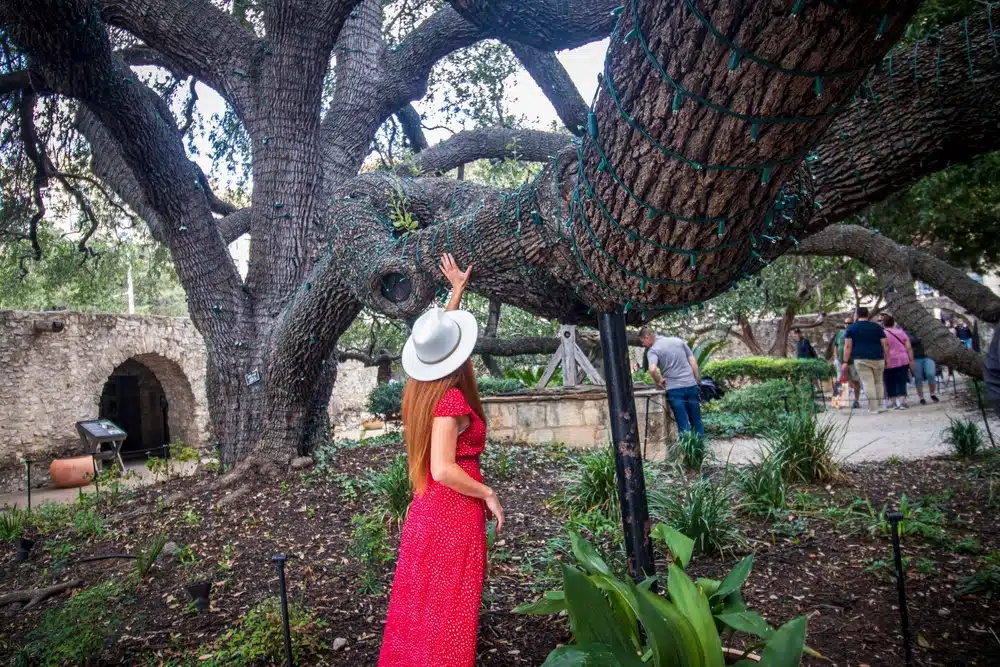 On the Move: Your Guide to Living in San Antonio