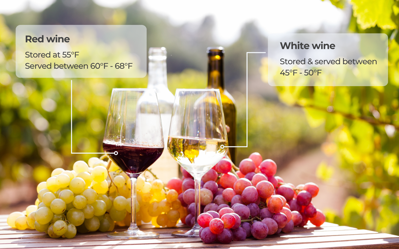 Ideal temperature to store and serve red white and white wine