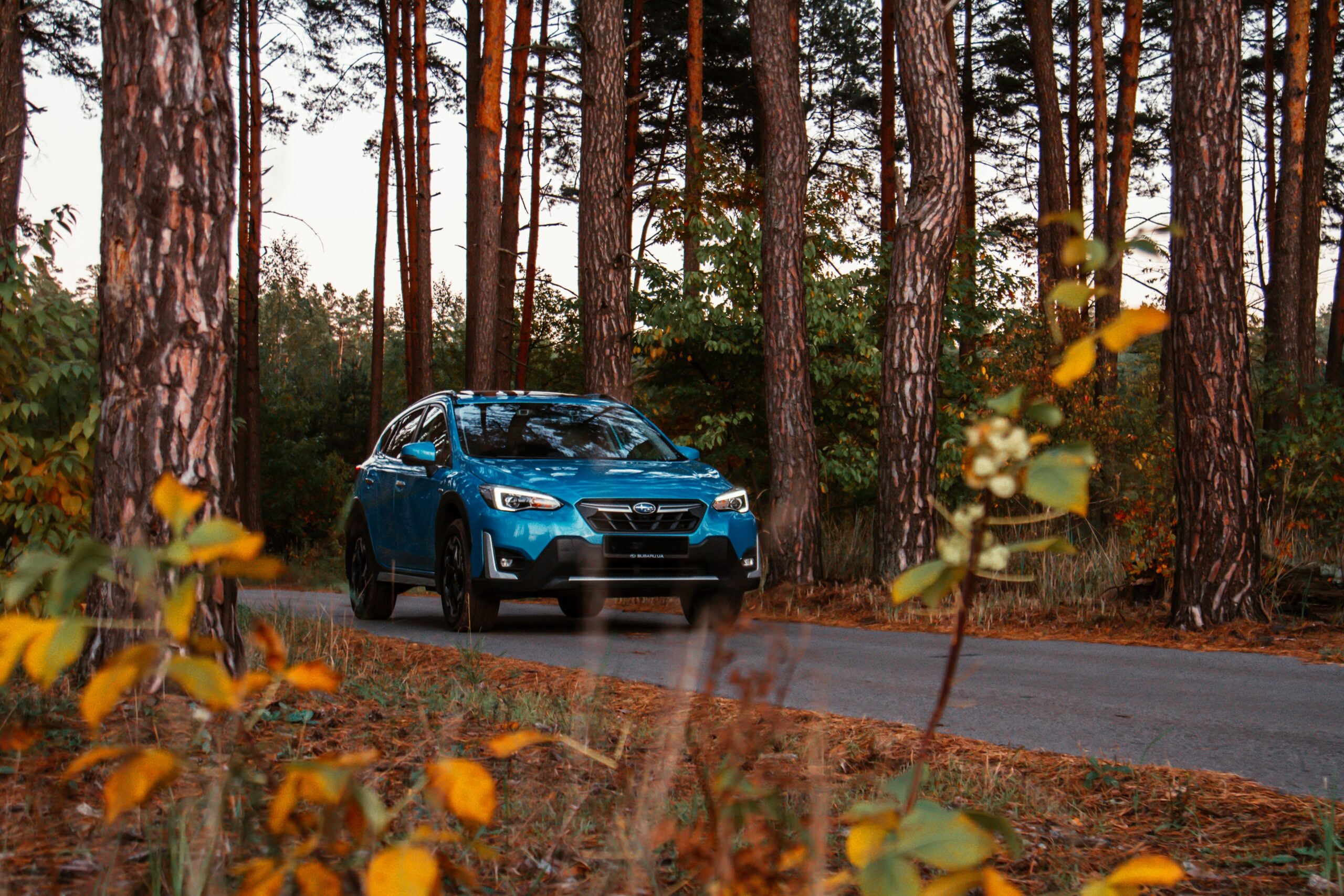 How Long Is a Car? Average Car Dimensions for Storage Planning